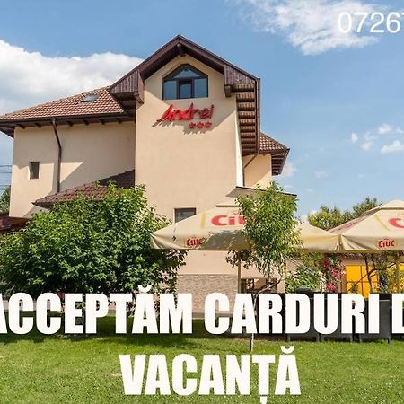 Pensiunea Andrei Rm Valcea Râmnicu Vâlcea Exterior foto