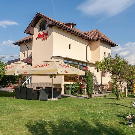 Pensiunea Andrei Rm Valcea Râmnicu Vâlcea Exterior foto