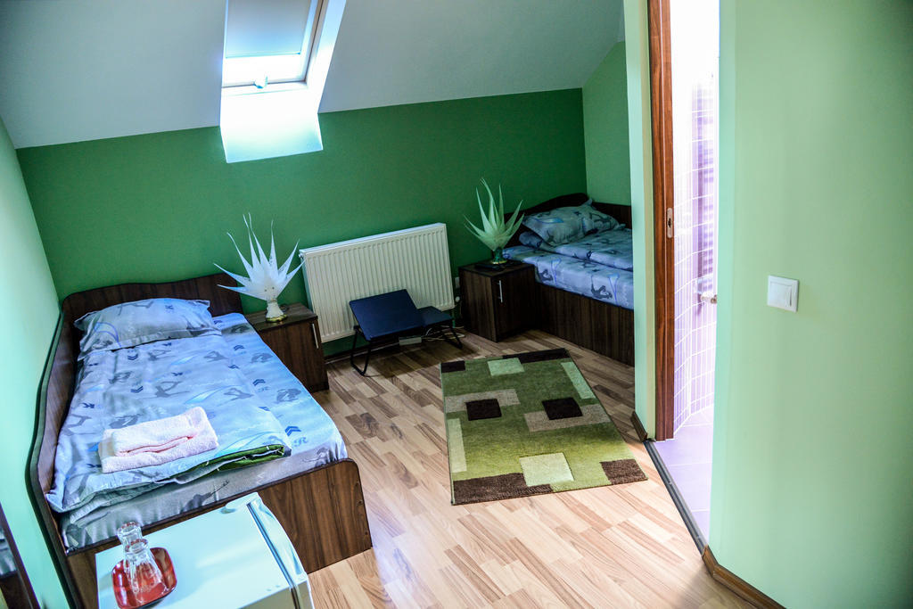 Pensiunea Andrei Rm Valcea Râmnicu Vâlcea Zimmer foto