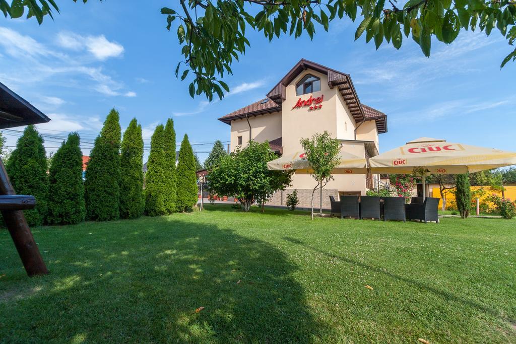 Pensiunea Andrei Rm Valcea Râmnicu Vâlcea Exterior foto
