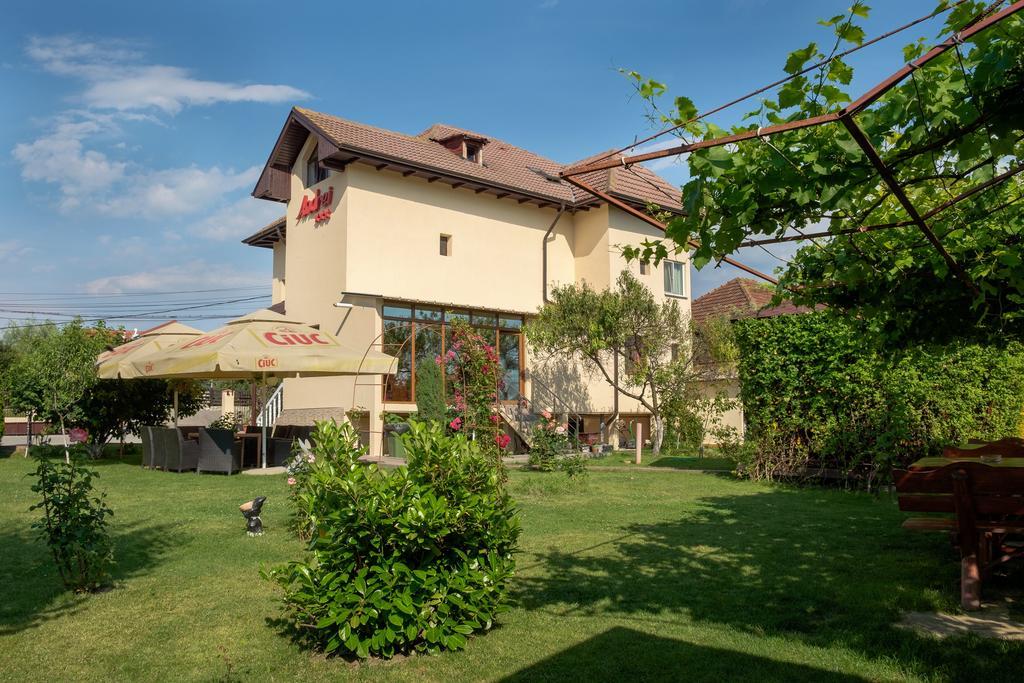 Pensiunea Andrei Rm Valcea Râmnicu Vâlcea Exterior foto